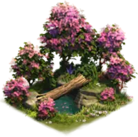 Rhododendronfeld