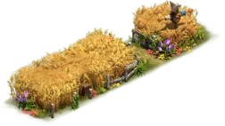 Weizenpfad Gold